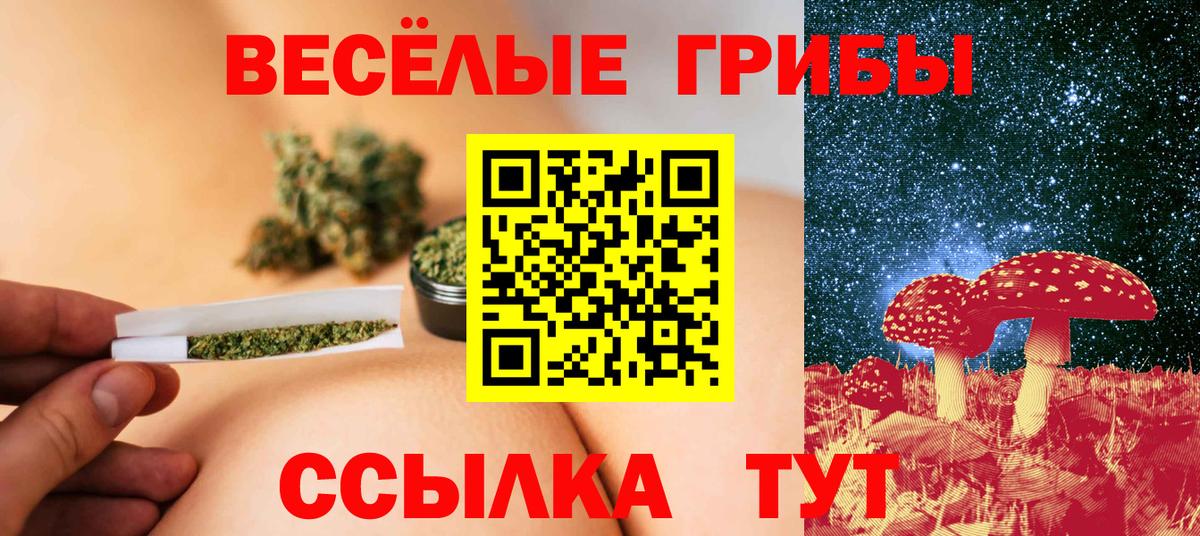 Гурьевск  Галлюциногенные грибы прущие грибы  Галлюциногенные грибы ЛСД  Вход с VPN 