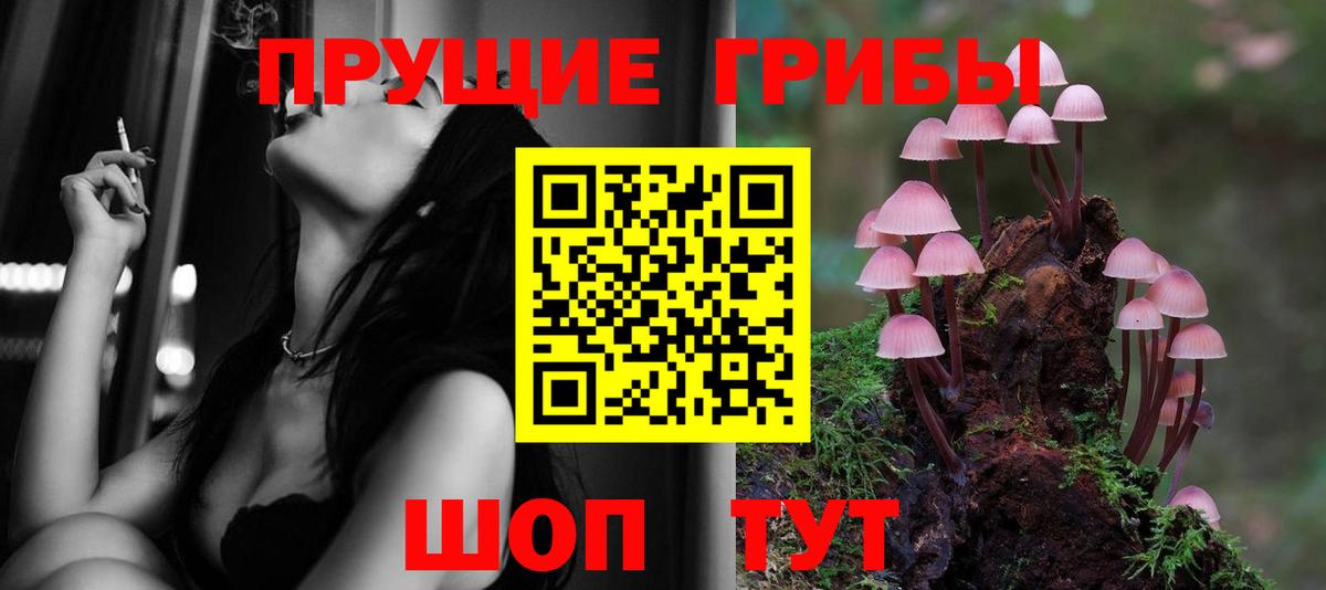 Псилоцибиновые грибы Cubensis Гурьевск